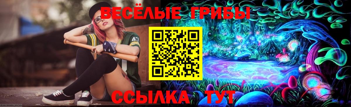 Галлюциногенные грибы Psilocybine cubensis  Псилоцибиновые грибы Cubensis  Вход с VPN  Алексин 